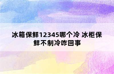 冰箱保鲜12345哪个冷 冰柜保鲜不制冷咋回事